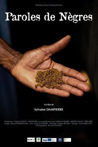 Words of Negroes (2021) poster