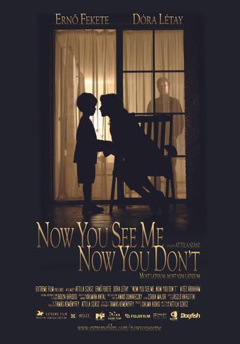 Now You See Me, Now You Don't (2005) poster