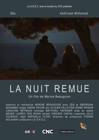 Night Moves () poster