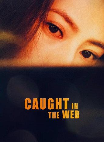 Caught in the Web (2012) poster