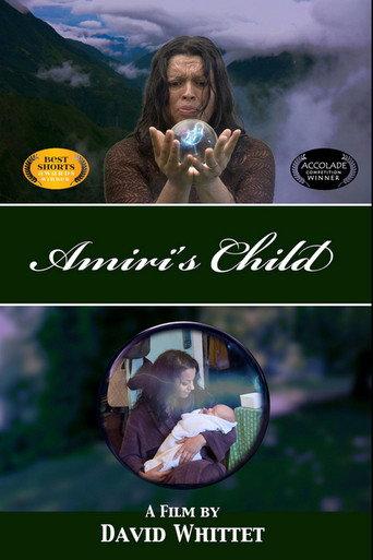 Amiri's Child (2014) poster