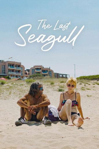 The Last Seagull (2023) poster