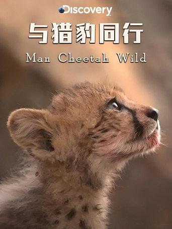 Man Cheetah Wild () poster