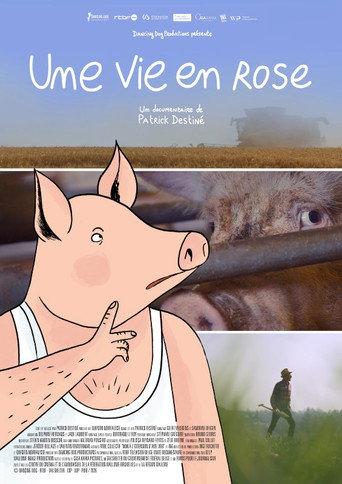 Une vie en rose () poster