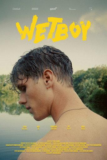 Wetboy () poster