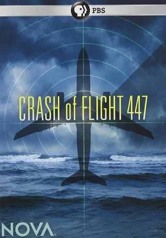 Crash of Flight 447 (2010) poster