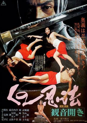 Female Ninjas: In Bed with the Enemy (1976) poster
