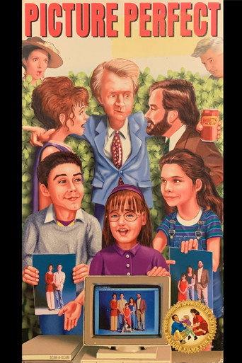 Picture Perfect (1995) poster