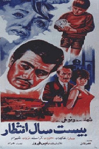 Twenty Years of Waiting (1966) poster