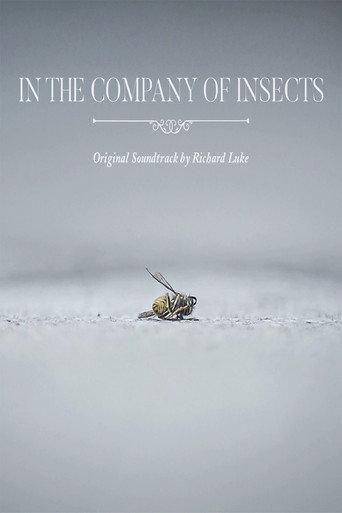 In the Company of Insects (2020) poster