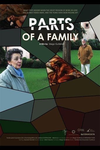 Parts of a Family (2014) poster