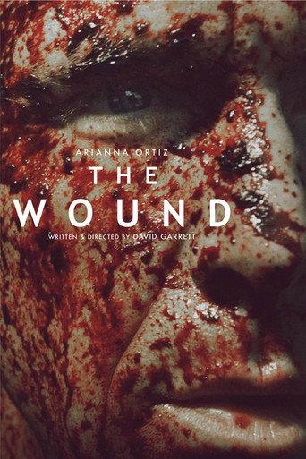 The Wound (2013) poster