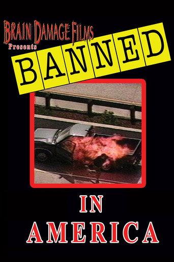 Banned! In America I (1998) poster