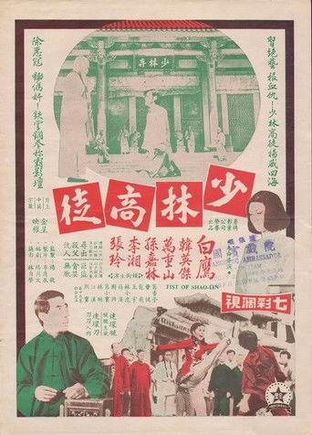 Fist of Shaolin (1975) poster