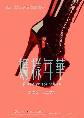 Bird of Paradise (2026) poster
