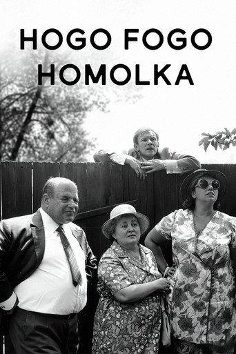 Hogo Fogo Homolka (1971) poster