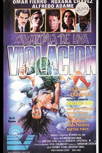 Anatomy of a Rape (1991) poster