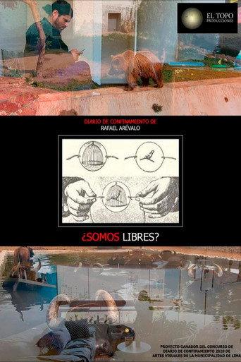 ¿Somos libres? () poster