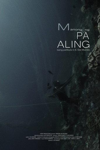 Man of Pa-Aling (2017) poster