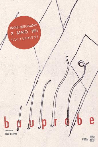BAUPROBE (2023) poster