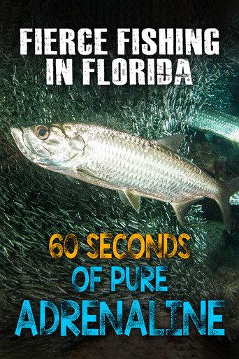 Fierce Fishing in Florida: 60 Seconds of Pure Adrenaline (2020) poster