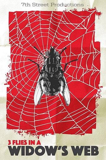 3 Flies in a Widow's Web (2016) poster