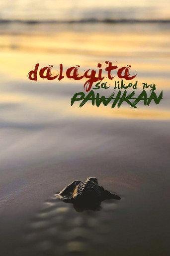 Dalagita sa Likod Pawikan (2020) poster