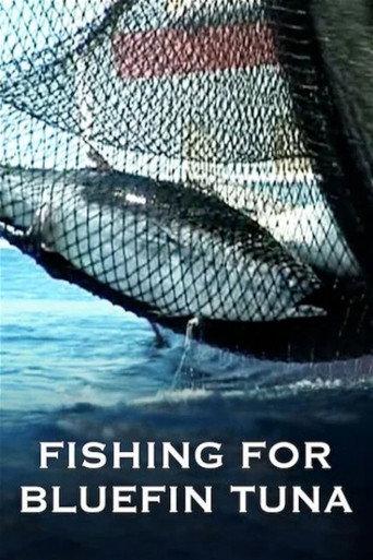 Full Tuna (2011) poster