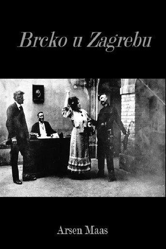 Brcko in Zagreb (1917) poster