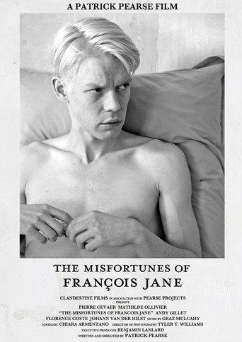 The Misfortunes of François Jane (2016) poster