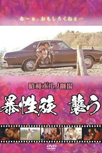 Violent Gang Attacks (1979) poster
