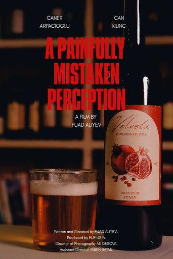 A Painfully Mistaken Perception (2026) poster
