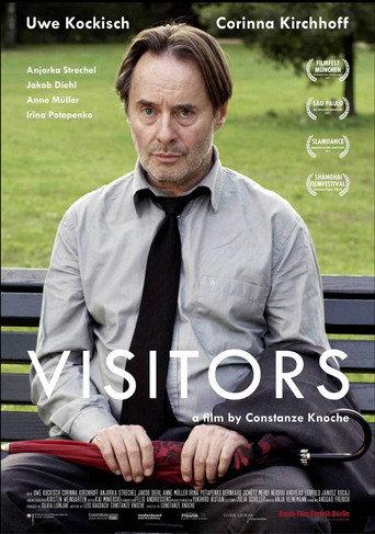 Visitors (2013) poster