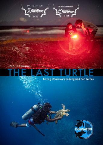 The Last Turtle (2019) poster