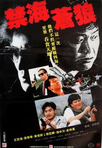 The Killer from China (1991) poster