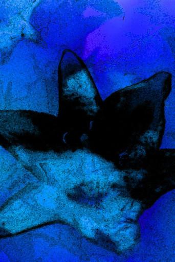 Blue Monet (2006) poster