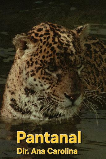 Pantanal (1971) poster