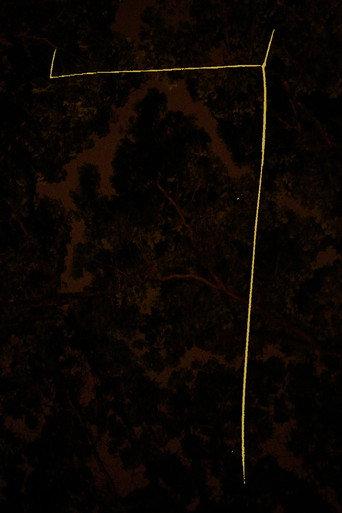 4 () poster