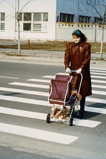 Pedestrian Crossing (1995) poster