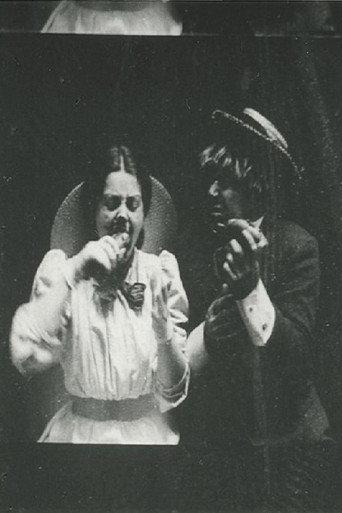 Rube and Mandy at Coney Island (1903) poster