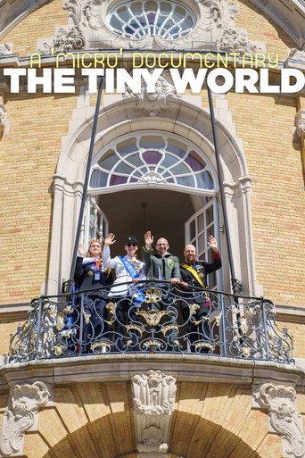 The Tiny World () poster