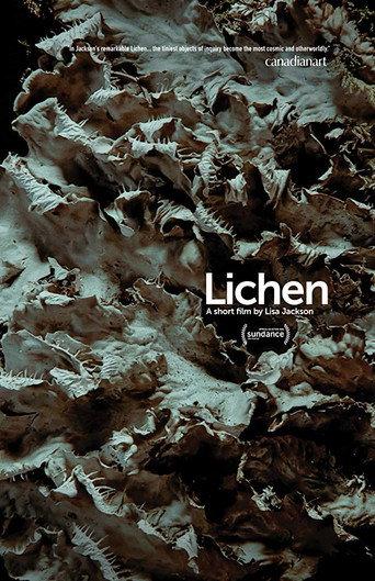 Lichen (2019) poster