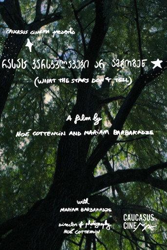 What the Stars Don’t Tell (2025) poster