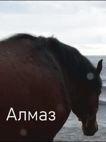 Almaz (2013) poster