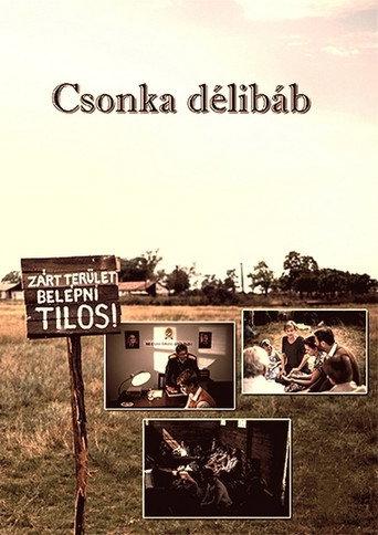 Csonka délibáb (2015) poster
