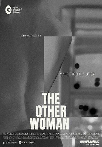 The Other Woman (2025) poster