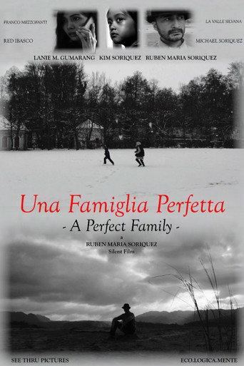A Perfect Family () poster