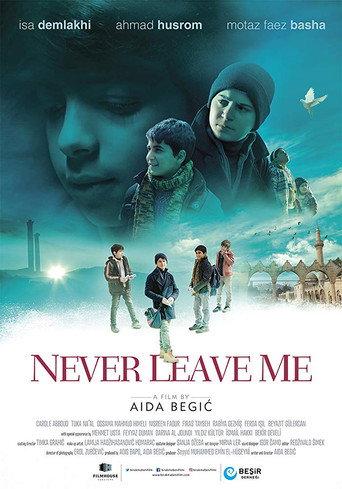 Never Leave Me (2018) poster