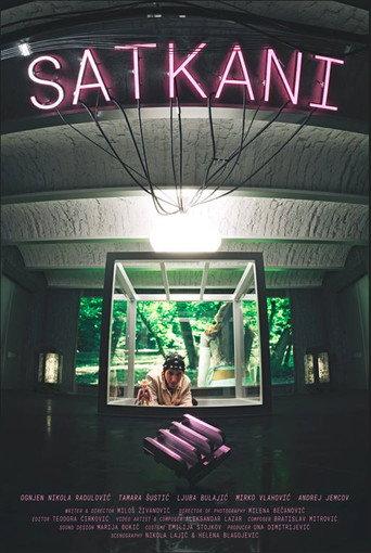 Woven (2025) poster