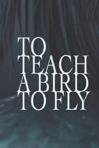 To Teach a Bird to Fly (2020) poster